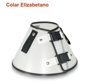 Colar Elizabetano P/ Gato